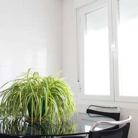 Atico De Pollo Martin *