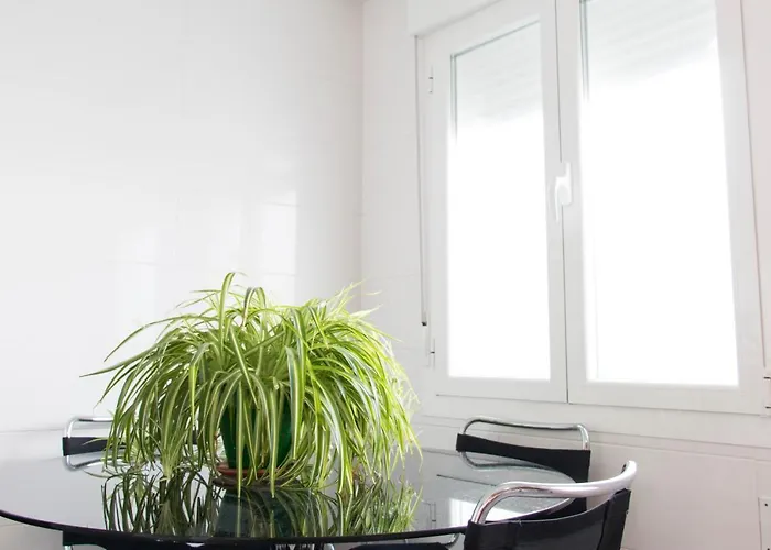 Atico De Pollo Martin *